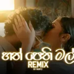 Hathpethi Mal (ReMix) - Mihiyz