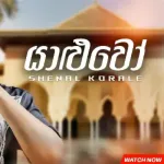Yaluwo - Shenal Korale