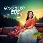 Gehena Hadha - Dilki Nawoda