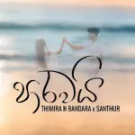 Paarawai - Thimira N Bandara