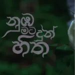 Nuba Mata Dun Hitha - Senila Geemitha