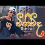 Vinivida - Suwahas