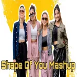 Shape Of You Mashup - Violent Harmony