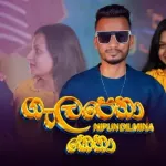Galapena Kena - Nipun Dilmina Bandara