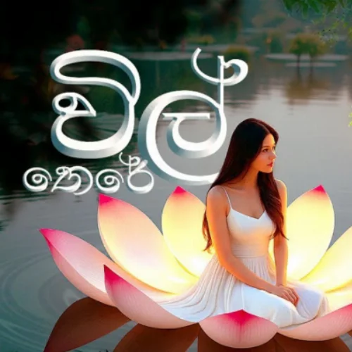 Wil Theree - Tharushi Bogoda