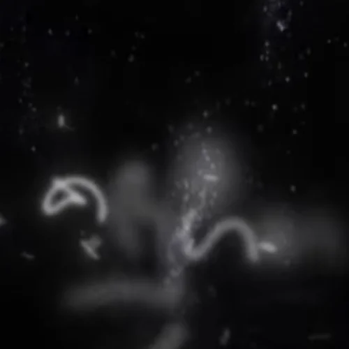 Kandulu Ganga - Anjitha Kuruppu